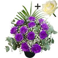 A single White Rose surrounded by 11 Purple Roses