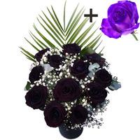 a single purple rose surrounded by 11 black roses