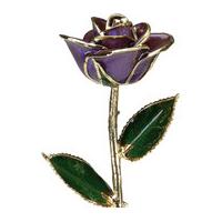 A Purple 12Inch 24kt Gold Trimmed Rose