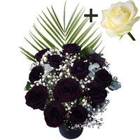 A single White Rose surrounded by 11 Black Roses