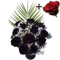 A single Red Rose surrounded by 11 Black Roses