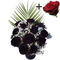 a single red rose surrounded by 11 black roses