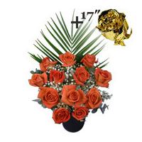 a single 17inch gold dipped rose surrounded by 11 orange roses