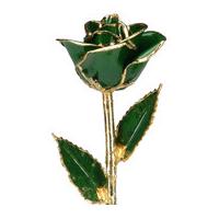 a dark green 12inch 24kt gold trimmed rose