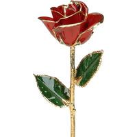 A Red 12Inch Gold Trimmed Rose