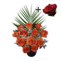 a single red rose surrounded by 11 orange roses