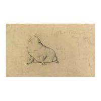 A Bull Frog By Edward Burne-Jones By Ford Madox Brown