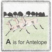 A is for Antelope By Clare Halifax