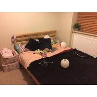 A nice room is looking for a tenant
