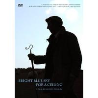 a bright blue sky for a ceiling dvd