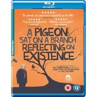 a pigeon sat on a branch reflecting upon existence blu ray