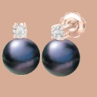 A beautiful pair of Black 8mm Pearl and Round Brilliant Cut diamond earrings in 18ct rose gold