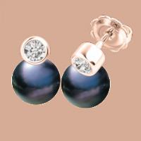 A timeless pair of Black Pearl and Round Brilliant Cut diamond earrings in 18ct rose gold