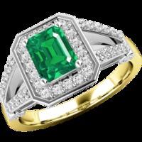 A gorgeous emerald & diamond cluster style ring in 18ct yellow & white gold