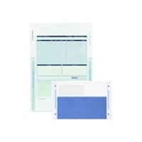 A4 SELF SEAL PAYSLIPS (500) - EN