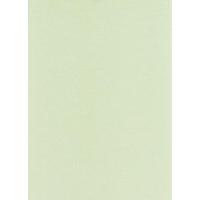 A4 250gsm Lemon Fresh Double Sided Pearl Card Pack