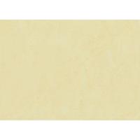A4 110gsm Beige 134 Leather Look Paper Pack