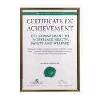 A4 PINSTRIPE FRAME PACK OF 5