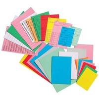 A6 Planner Cards Blue (pk 100)