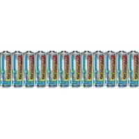 AA battery Alkali-manganese Conrad energy Mignon AA 1.5 V 12 pc(s)