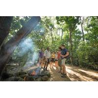 Aboriginal Cultural Daintree Rainforest Tour from Cairns or Port Douglas