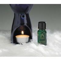 Absolute Aromas Oil Burner, Blue