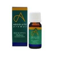 Absolute Aromas Eucalyptus Radiata, 10ml