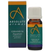 absolute aromas geranium egyptian oil 10ml 1 x 10ml