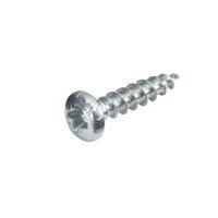 Abru Steel Woodscrew (Dia)4mm (L)20mm Pack of 20