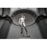 accademia gallery guided tour with skip the line entrance ticket