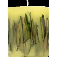 acqua di parma decorated candle green tea 900g
