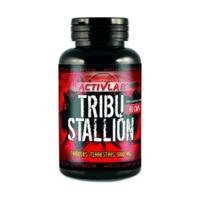 Activlab Tribu Stallion