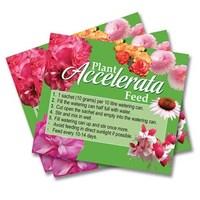 Accelerata Plant Food 80 Sachets