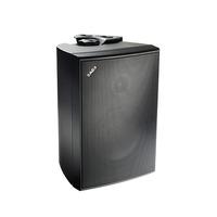 Acoustic Energy Extreme 8 Weatherproof Speaker in Black