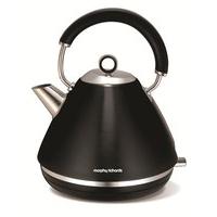 Accents Titanium Traditional Kettle