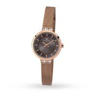 Accurist Mesh Ladies Watch