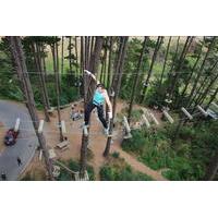 Adrenaline Forest Obstacle Course in Christchurch