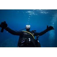 Advanced Open Water Diver Course on the Gold Coast