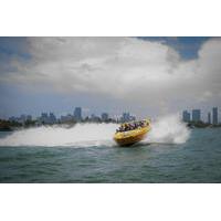Adrenaline Junkie Miami Jet Boat Tour