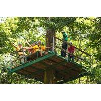 adrena line zipline canopy tour at rainforest adventures