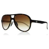 adidas originals 12148 sunglasses havana white