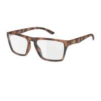 adidas Originals Melbourne Sunglasses Havanna 6055