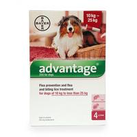 advantage flea prevention and treatment solution for dogs of 10 kg to  ...