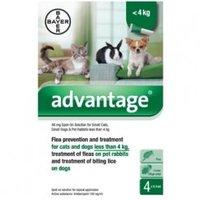 Advantage 40mg Flea/lice Spot