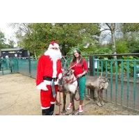 Adopt a Reindeer including Tickets to Paradise Wildlife Park