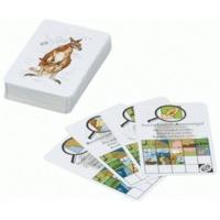 Adlung-Spiele 46129