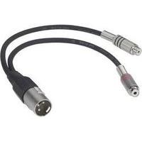 Adapter cable 2 x phono Female/1 x XLR-Male