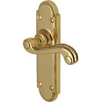 Adam Euro Profile Door Handle in Polished Brass (Set of 2)