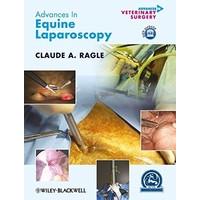 advances in equine laparoscopy avs advances in veterinary surgery