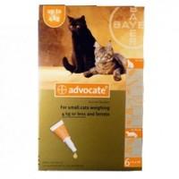 Advocate Spot-on Solution 40 Small Cats Up To 4kg Pack Of 6 Pipettes